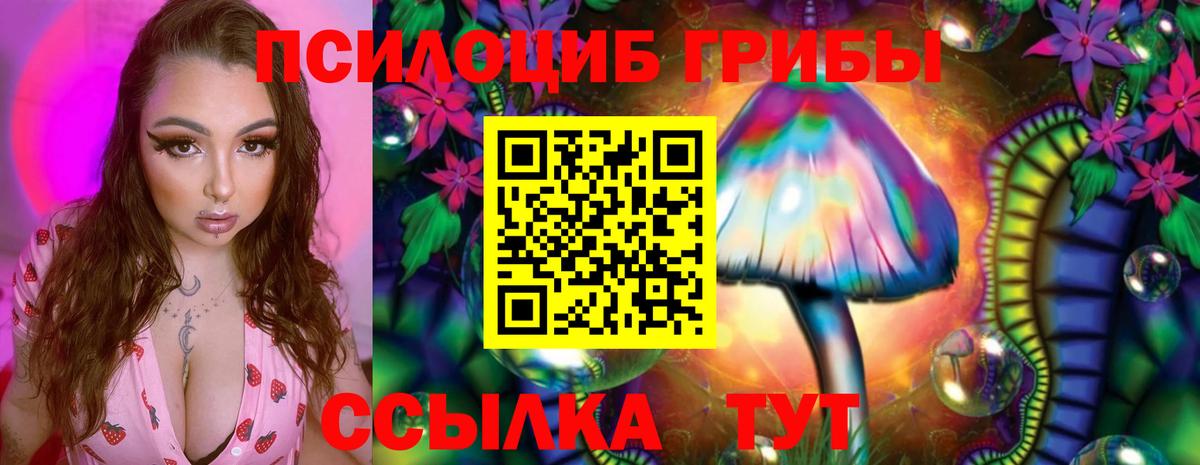 Одинцово  Псилоцибиновые грибы мицелий  Вход с VPN 